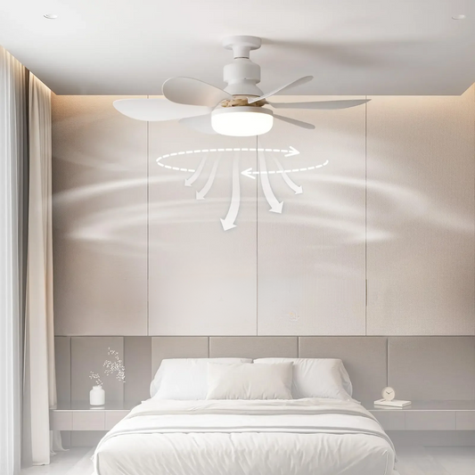 LED light ceiling fan